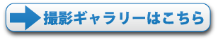 撮影実績はコチラ