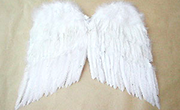 天使の羽根